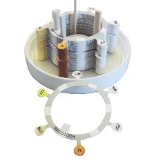 Antibiotika 6er Ring HWI S3