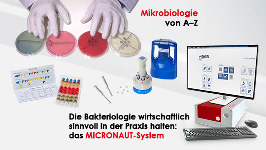 Anstehende Fortbildungstermine zur Bakteriologie