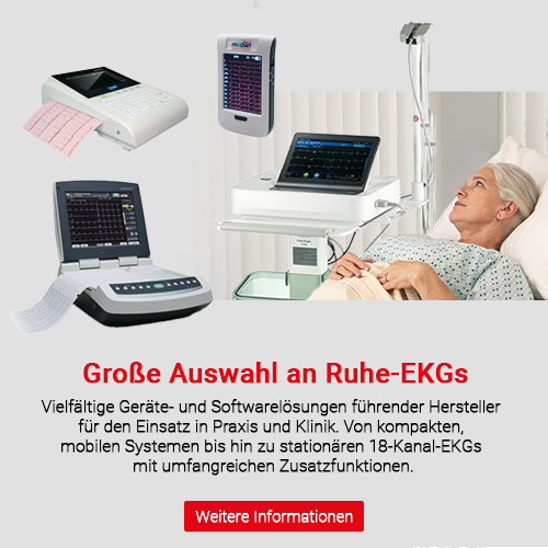 Herz/Kreislauf EKG