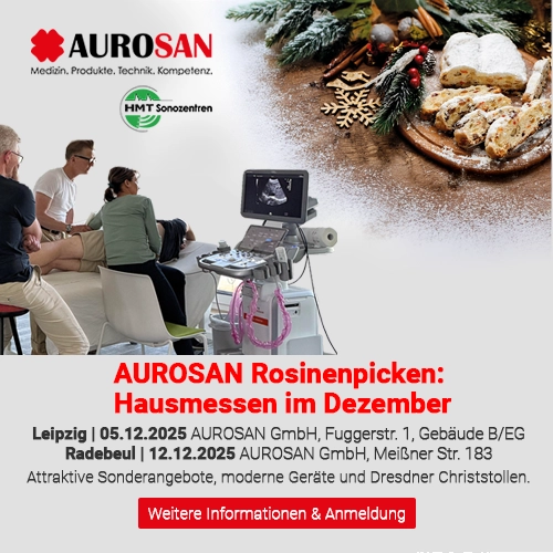 Rosinenpicken (Hausmessen)