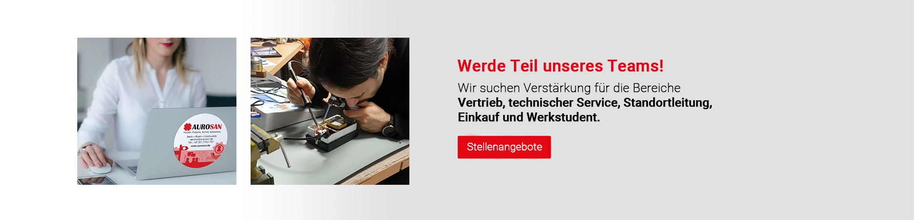 Karriere bei AUROSAN
