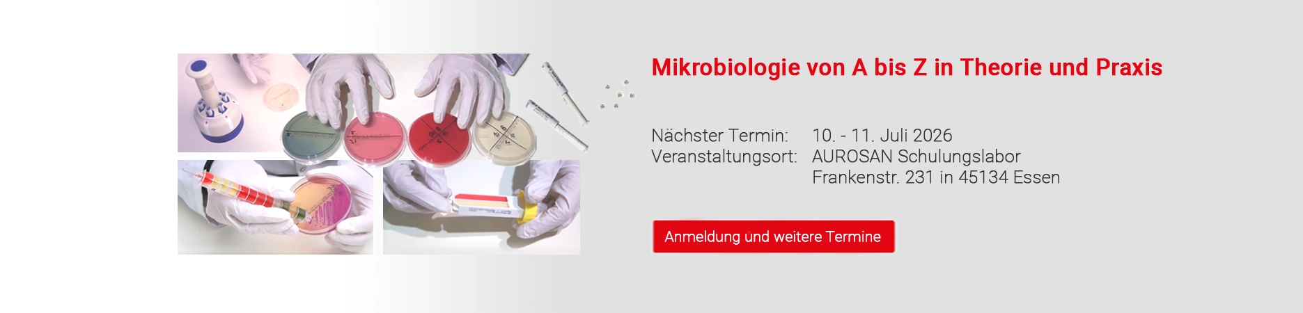 Mikrobiologie A-Z